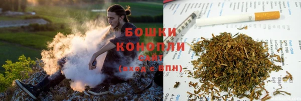 ГАЛЛЮЦИНОГЕННЫЕ ГРИБЫ Аркадак