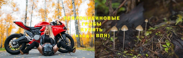 ГАЛЛЮЦИНОГЕННЫЕ ГРИБЫ Аркадак