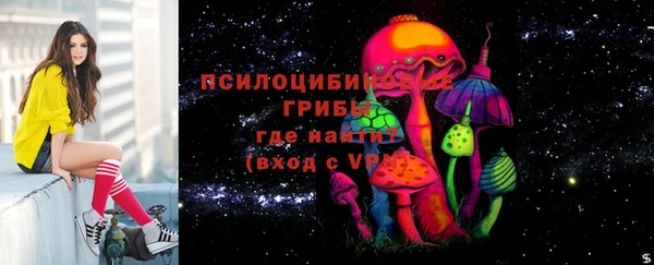 ГАЛЛЮЦИНОГЕННЫЕ ГРИБЫ Аркадак