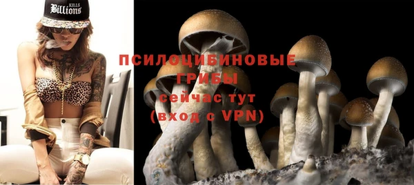 круглые Армянск