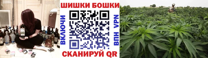 где купить наркотик  Нижняя Салда  Конопля гибрид 